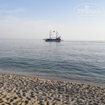 фото из отзыва ID 1758549