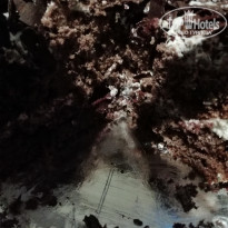 фото из отзыва ID 1758651