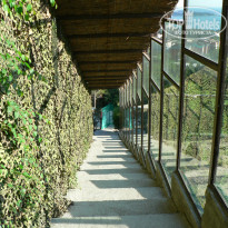 фото из отзыва ID 1758714