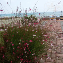 фото из отзыва ID 1754728