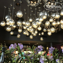 фото из отзыва ID 1758752