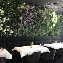 фото из отзыва ID 1758752