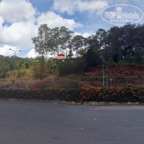 фото из отзыва ID 1758821