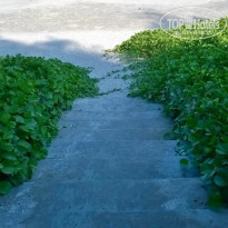 фото из отзыва ID 1758827