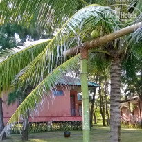 фото из отзыва ID 1758827