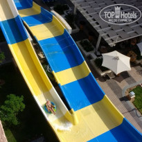 фото из отзыва ID 1758887