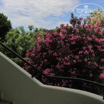 фото из отзыва ID 1758029