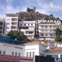 фото из отзыва ID 1758934