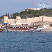 фото из отзыва ID 1758934