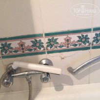 фото из отзыва ID 1758948