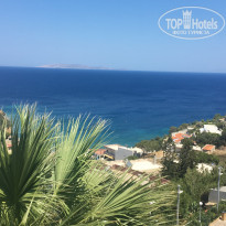 фото из отзыва ID 1758990