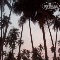 фото из отзыва ID 1759052