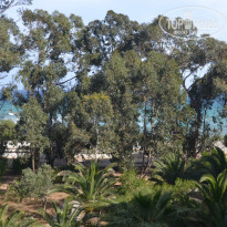 фото из отзыва ID 1759065