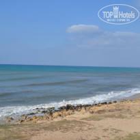 фото из отзыва ID 1759065