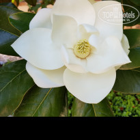 фото из отзыва ID 1759128