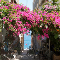 фото из отзыва ID 1759148