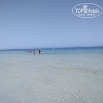 фото из отзыва ID 1759191