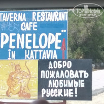 фото из отзыва ID 1759294