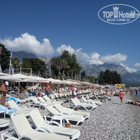 фото из отзыва ID 1759298