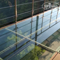 фото из отзыва ID 1759314