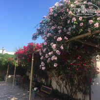 фото из отзыва ID 1759365