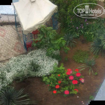 фото из отзыва ID 1759365