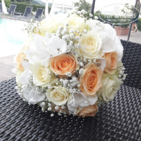 фото из отзыва ID 1759404