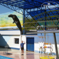 фото из отзыва ID 1759501