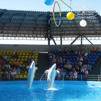 фото из отзыва ID 1759501