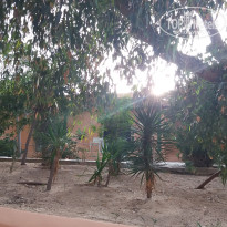 фото из отзыва ID 1759702