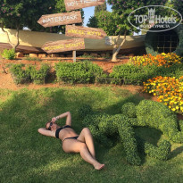 фото из отзыва ID 1759726