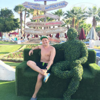 фото из отзыва ID 1759726