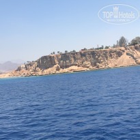 фото из отзыва ID 1759764