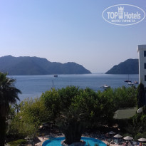 фото из отзыва ID 1759784