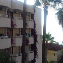 фото из отзыва ID 1759784