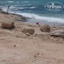 фото из отзыва ID 1759792