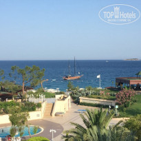 фото из отзыва ID 1758242