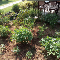 фото из отзыва ID 1759833