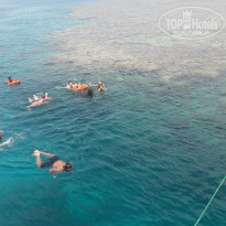 фото из отзыва ID 1759655