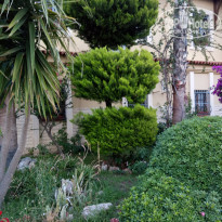 фото из отзыва ID 1757581