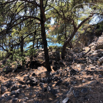 фото из отзыва ID 1752398