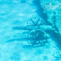 фото из отзыва ID 1753071