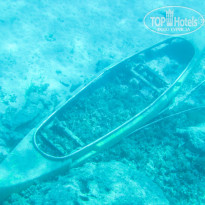 фото из отзыва ID 1753071