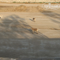 фото из отзыва ID 1757333