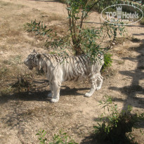 фото из отзыва ID 1757333