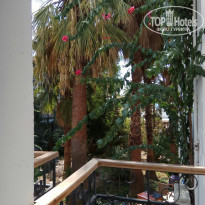 фото из отзыва ID 1755802