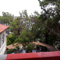 фото из отзыва ID 1756498