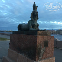 фото из отзыва ID 1755420