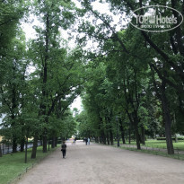 фото из отзыва ID 1755420