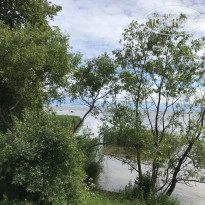 фото из отзыва ID 1755420